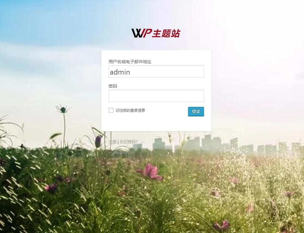 Custom Login Page Customizer界面示例