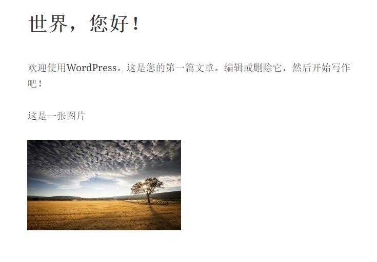 Wordpress登录后查看效果