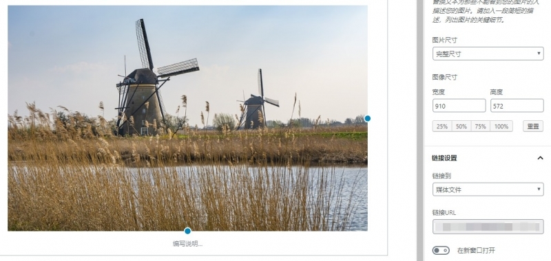 wordpress设置单张图片点击放大