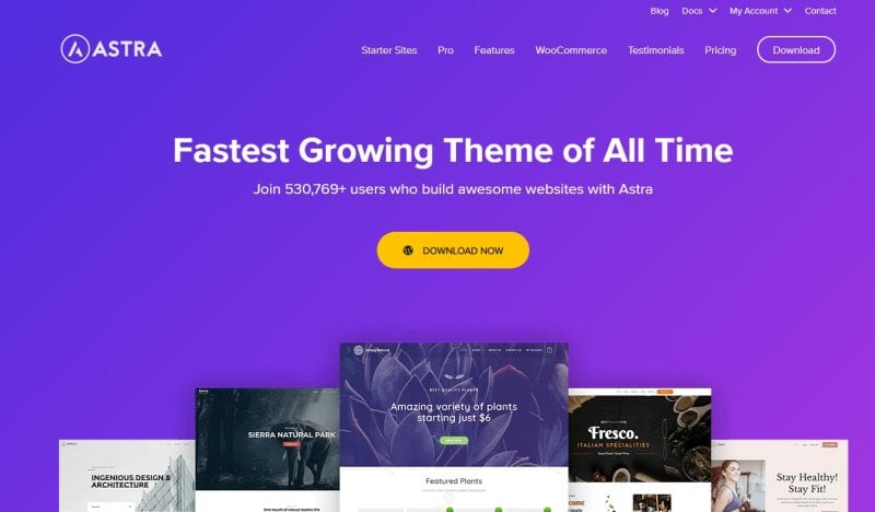 Astra主题官网