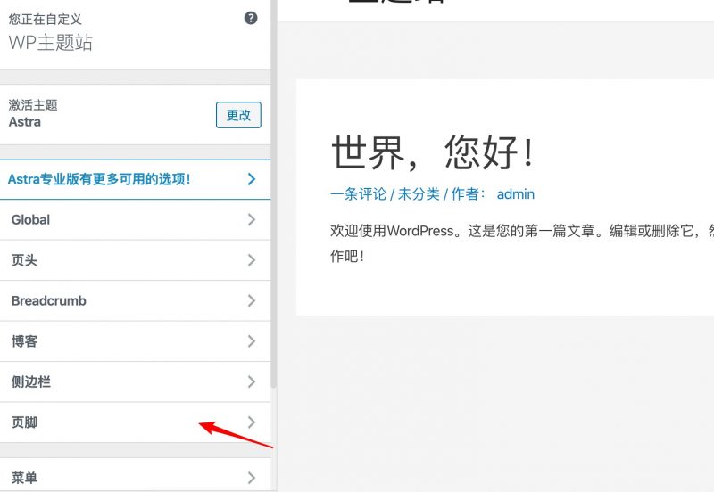 astra修改页脚栏