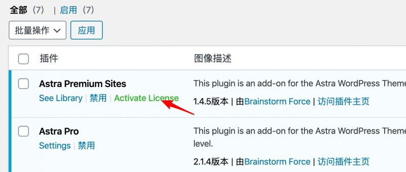 astra 激活高级插件
