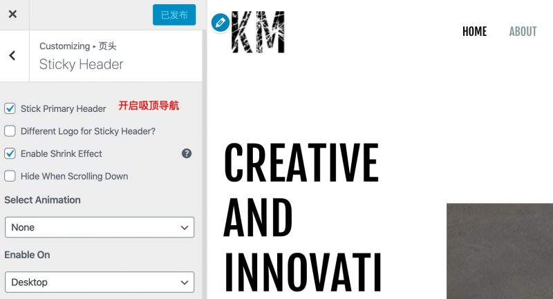 astra设置吸顶导航