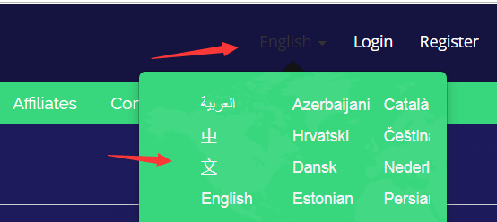 美国西雅图高防VPS推荐:TMTHosting月付低至4.75美元,支持正版Windows与支付宝支付(附详细注册教程)