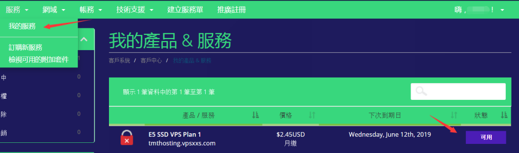 美国西雅图高防VPS推荐:TMTHosting月付低至4.75美元,支持正版Windows与支付宝支付(附详细注册教程)